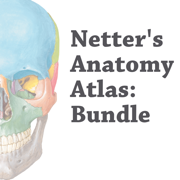 Netter's Anatomy Atlas: Bundle