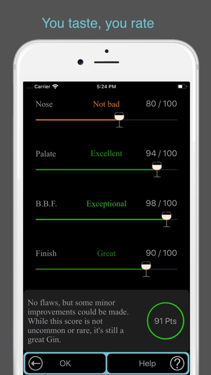 Gin Tasting screenshot-7