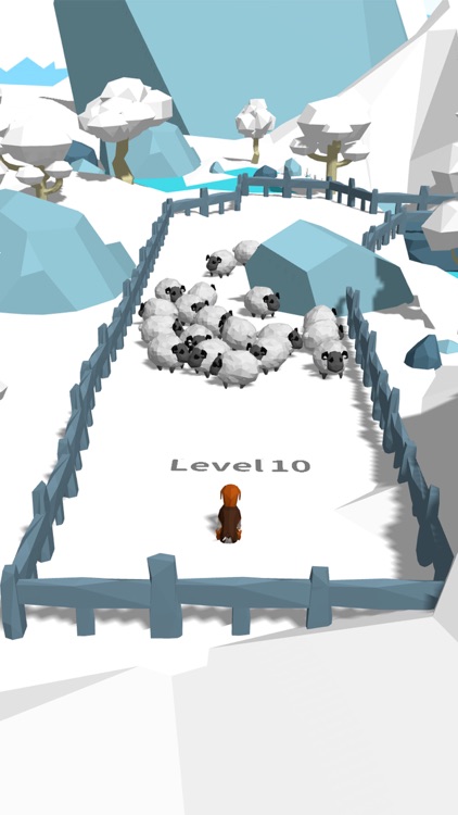 Herding Dog 3D screenshot-4