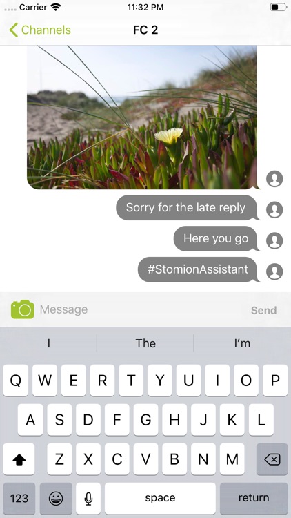 Stomion Assistant