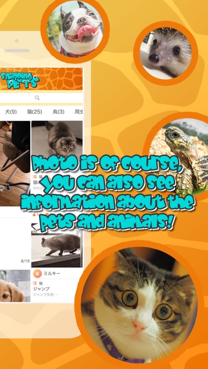 SNAPPING PETS ~ Pets & Animal