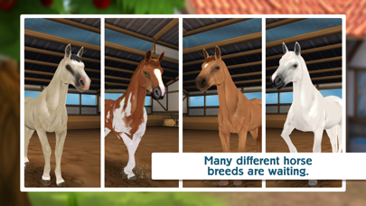 HorseHotel Screenshot 6