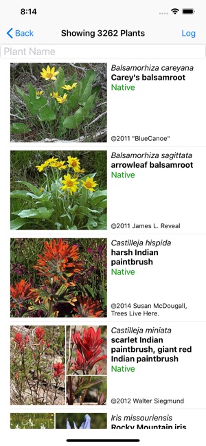 Washington Wildflower Search(圖2)-速報App