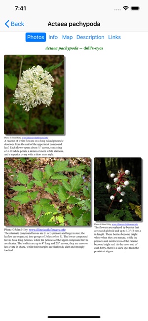 Ontario Wildflowers(圖3)-速報App