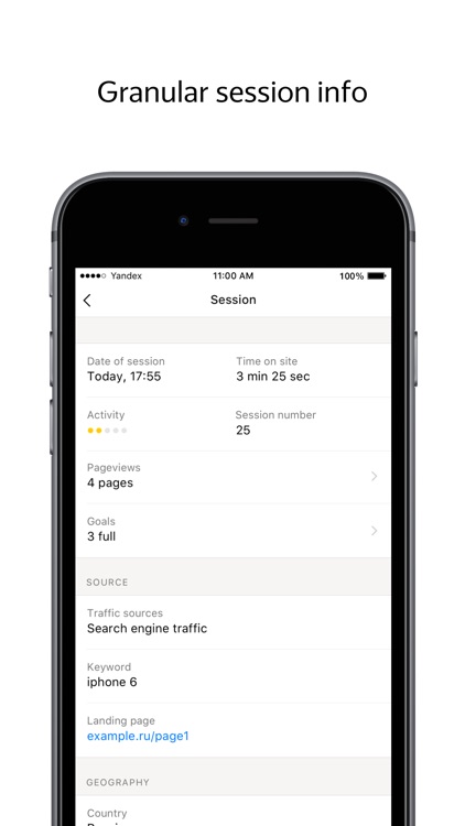 Yandex.Metrica screenshot-4