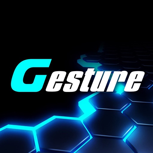 FYD-Gesture Download