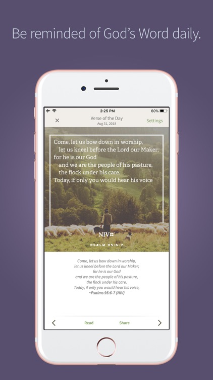 Olive Tree Bible App