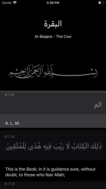 The Noble Quran screenshot-3