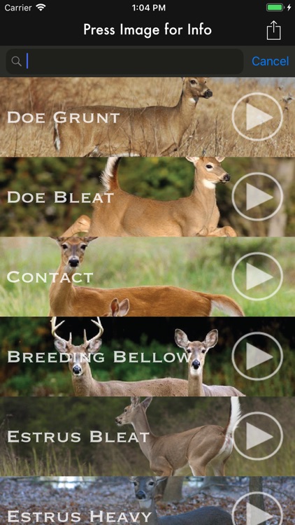 Deer Calls for Whitetail screenshot-4