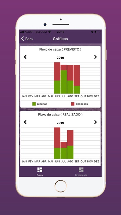 Crosara Gestão Financeira screenshot 3