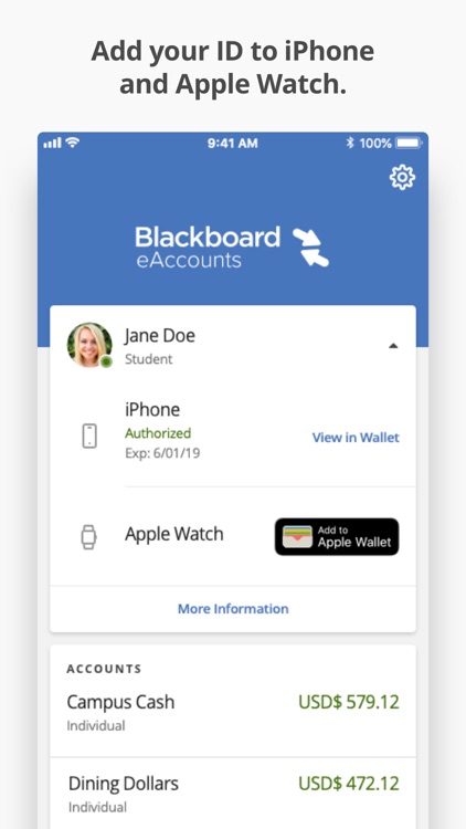 eAccounts Mobile screenshot-4