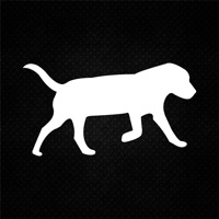 Dog Pacer pour PC
