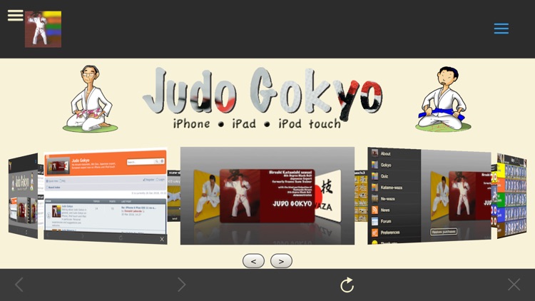 Judo Gokyo Lite screenshot-8