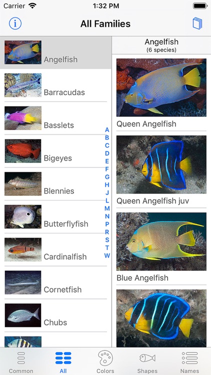Easy Fish ID Caribbean screenshot-8