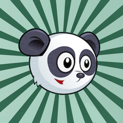 Panda Running 2019