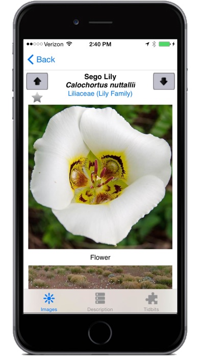 How to cancel & delete Flora of the Wasatch from iphone & ipad 4