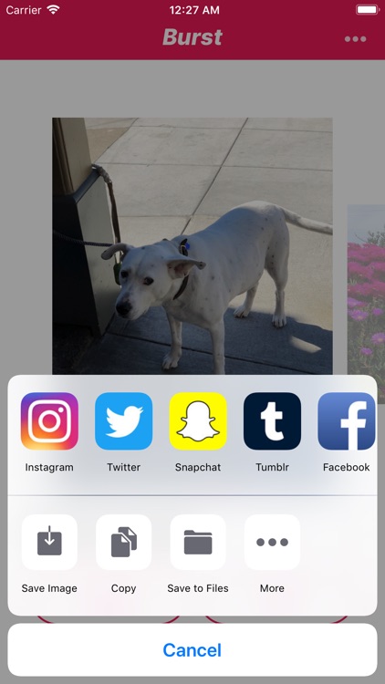 The Burst App
