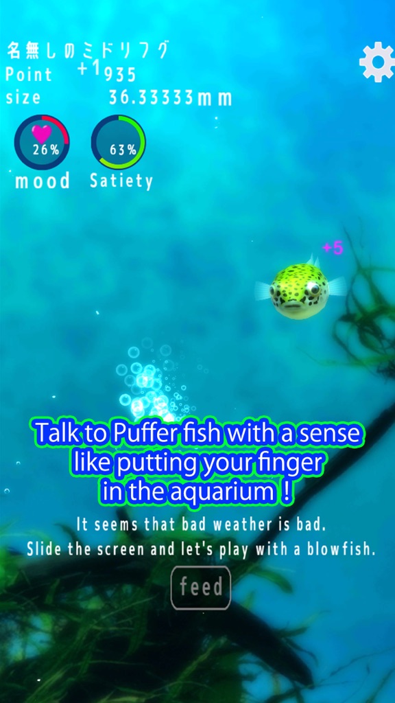 【图】Playing with Puffer fish(截图1)