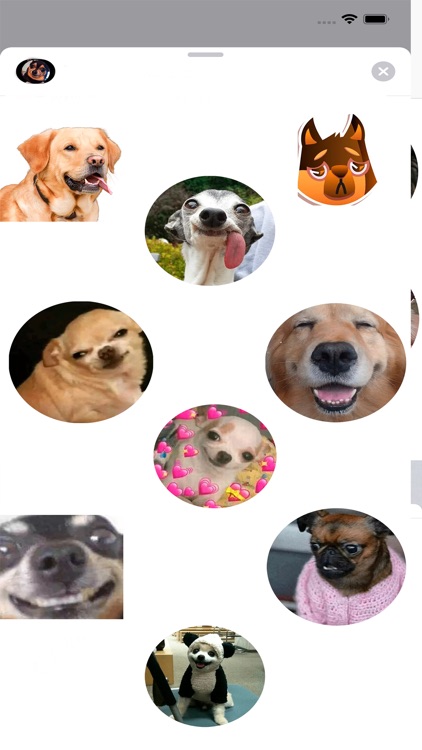 Best Dog Stickers HD for Chat