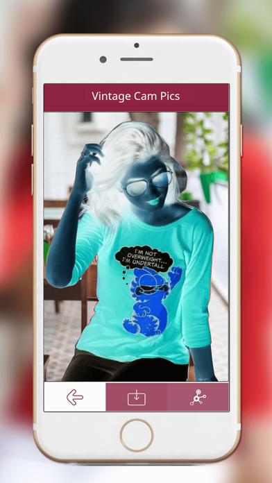 How to cancel & delete Vintage Cam Pic from iphone & ipad 4