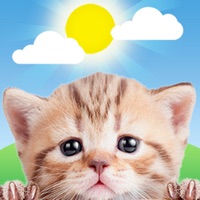 Weather Kitty: Weather + Radar apk