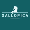 Gallopica Reiten