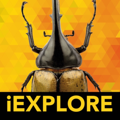 iBugs AR Download