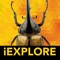 Are you ready to get up close to nature’s biggest, scariest and weirdest bugs