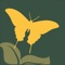 WILDLIFE GUIDE APPS