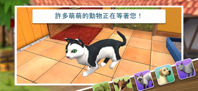 Pet World - 動物庇護所(圖5)-速報App