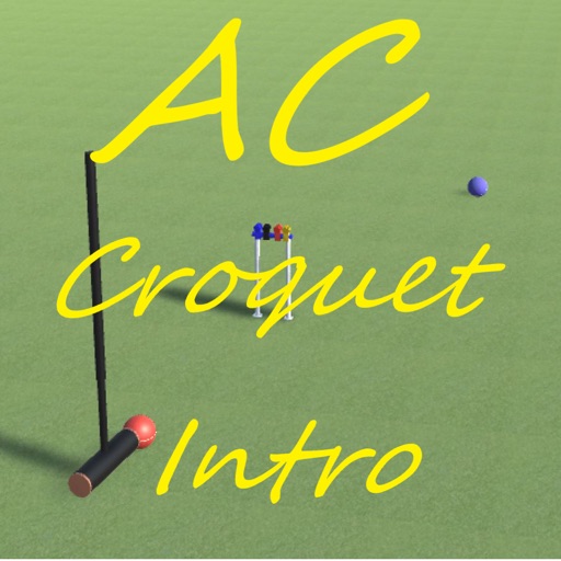 Association Croquet Intro by Andrew Dutton