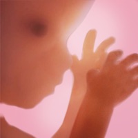 Contact Pregnancy + | Tracker App