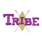 Download the Tribe Fitness Studio's App today to plan and schedule your classes