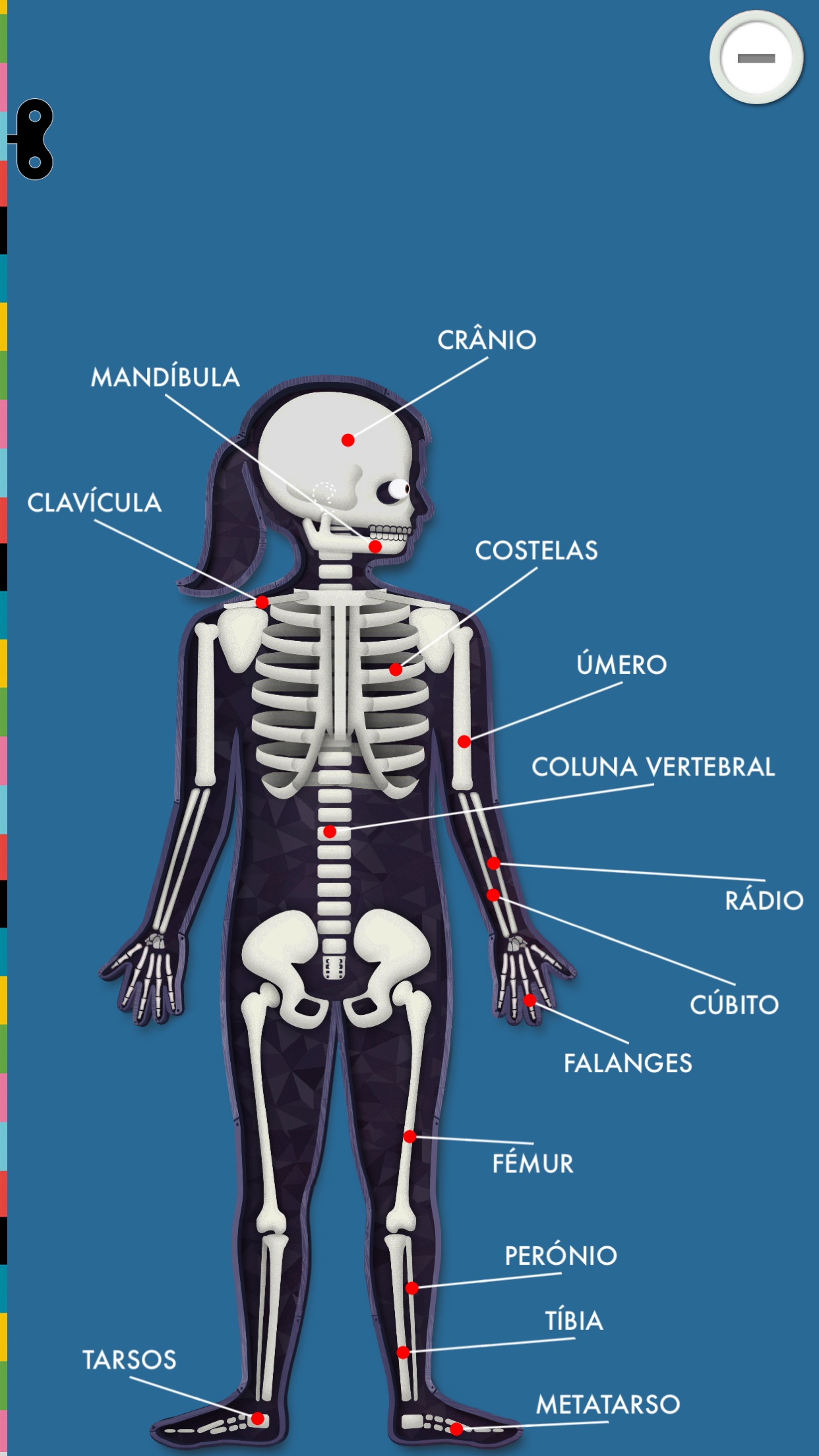 Screenshot do app O Corpo Humano por Tinybop