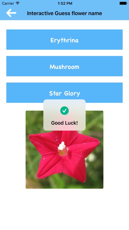 Interactive Guess flower name screenshot-7