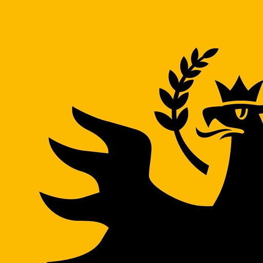 Information App Download