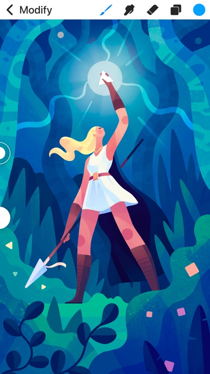 Procreate Pocket