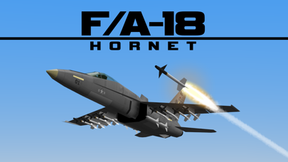 FA18 HORNET FIGHTER JET screenshot1