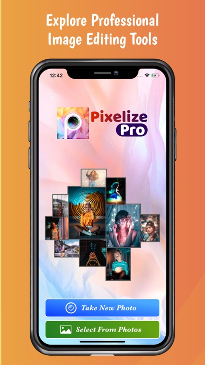 Pixelize Pro