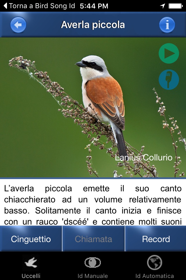 Canzoni d'uccelli screenshot 2