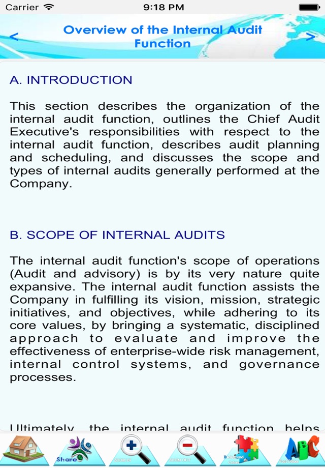 Internal Audit Manual screenshot 3