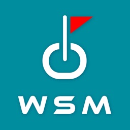 시티존 WSM