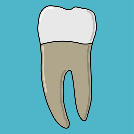 Forensic Dentistry Cheats