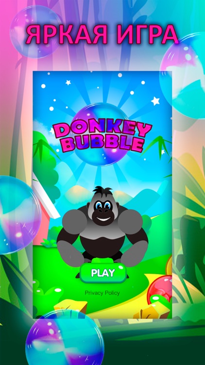 Donkey Bubble