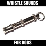 Dog Whistle Sounds High Pitch