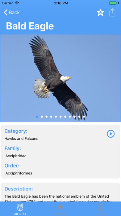 Full Birds Encyclopedia screenshot 3