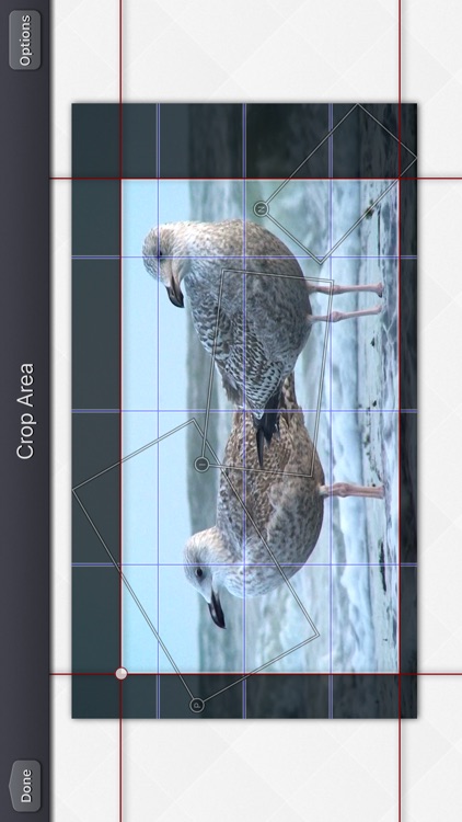 Video Crop & Zoom - HD screenshot-7