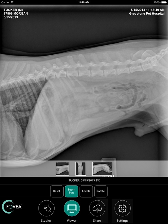 Fovea Image Viewer