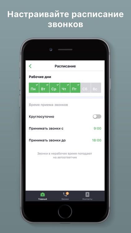 Виртуальная АТС screenshot-3