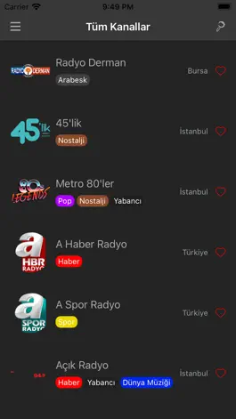 Game screenshot Radyo Türk - Radyo Dinle apk